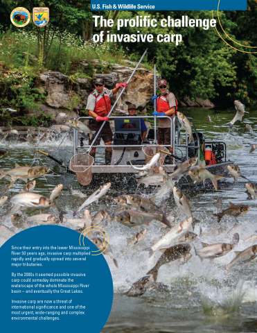 The cover of an informational booklet, the prolific challenge of invasive carp, featuring jumping silver carp jumping around an electrofishing boat as two biologists stand at the front ready with dip nets.