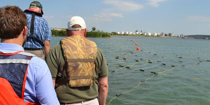 Three people stand near a waterbody looking out at nets and net floats.