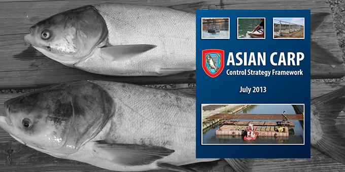 Cover of the 2013 Asian Carp Control Strategy Framework overlaying a photo of carp.