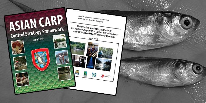 Cover of the 2015 Asian Carp Control Strategy Framework overlaying a photo of juvenile carp.