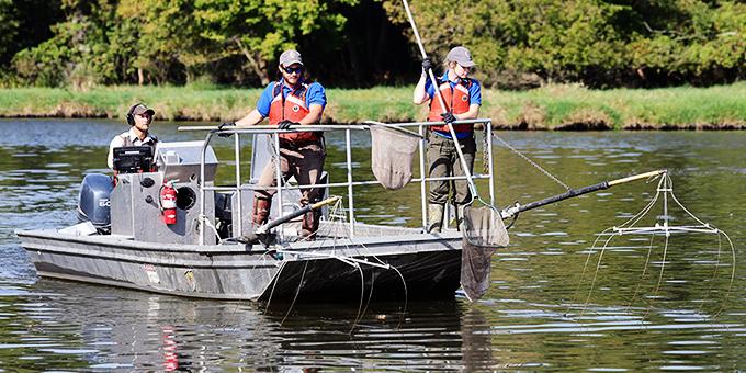 Two people stand at the front of an electrofishing boat holding dip nets.