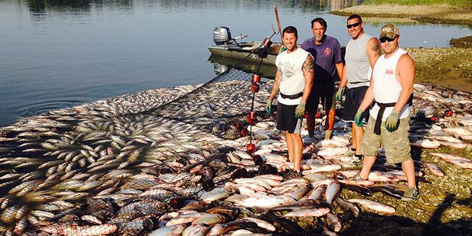 A group of people stand on shore near a large net in the water filled with fish.