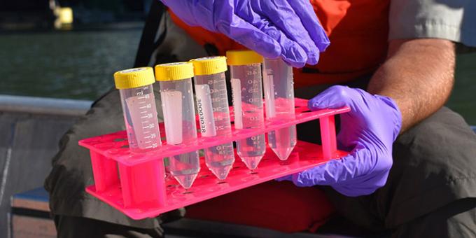 Clear plastic tubes filled with water sit in a holding tray.