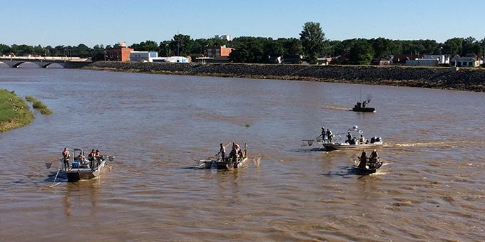 Crews of fisheries biologists in motorboats on a river.