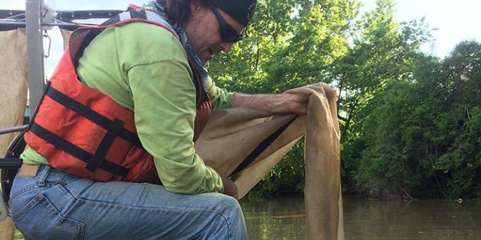 Biologist collecting larva samples using bongo net.