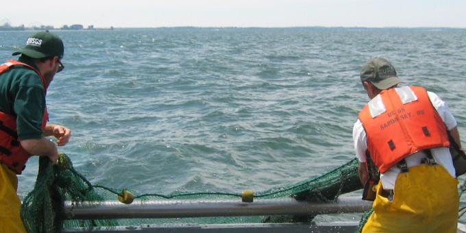 Two people in fishing gear and life vests pull a net in over the side of a boat.