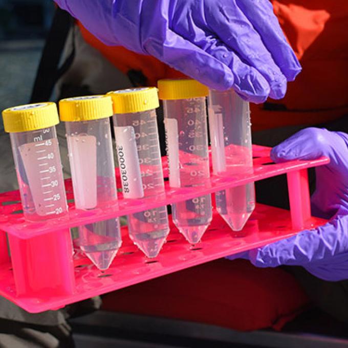 Gloved hands hold a tray of clear, plastic water collection tubes.