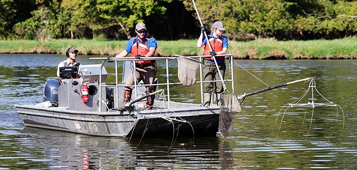 Two people stand at the front of an electrofishing boat holding dip nets.