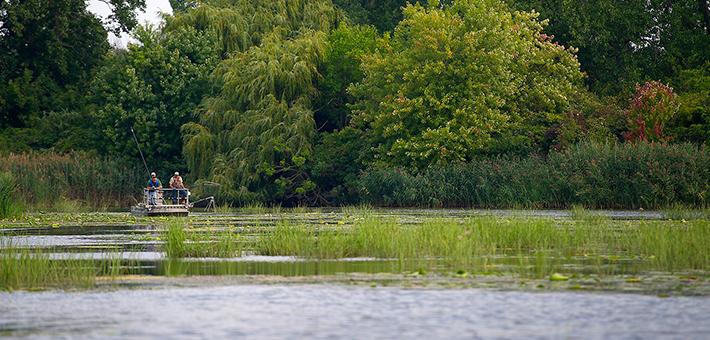 People on an electrofishing boat in water surrounded by reeds.