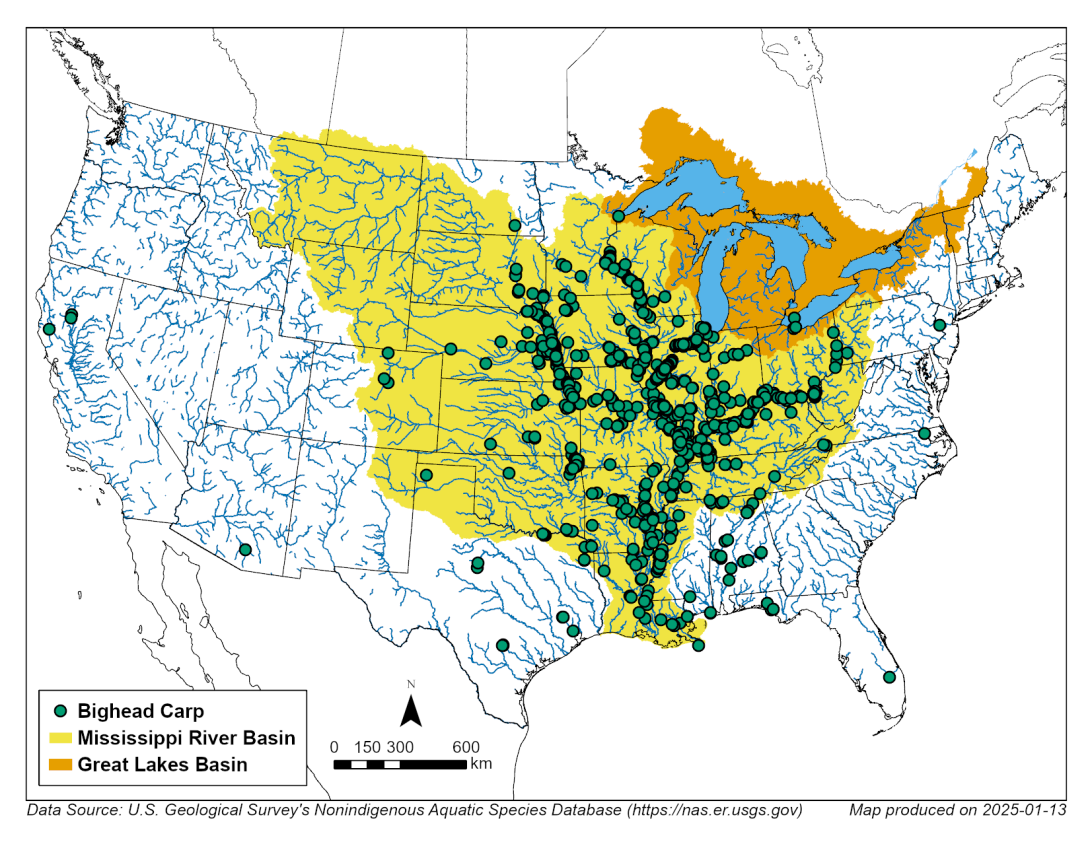 Map identifying bighead carp in the Mississippi River and Great Lakes basins.