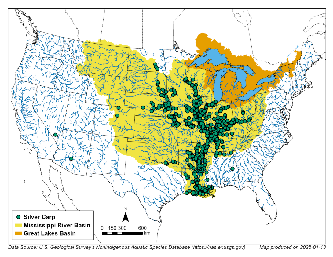Map identifying silver carp in the Mississippi River and Great Lakes basins.