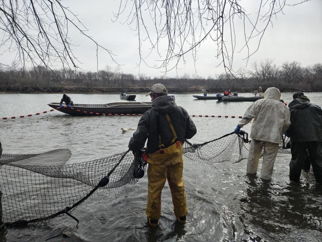 People along a shoreline hold part of a fishing net while people in boats on the water hang on to part of the same fishing net.