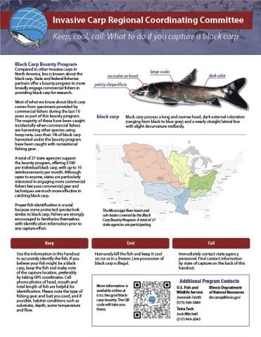 Handout titled "Keep, Cool, Call: What to do if you capture a black carp".
