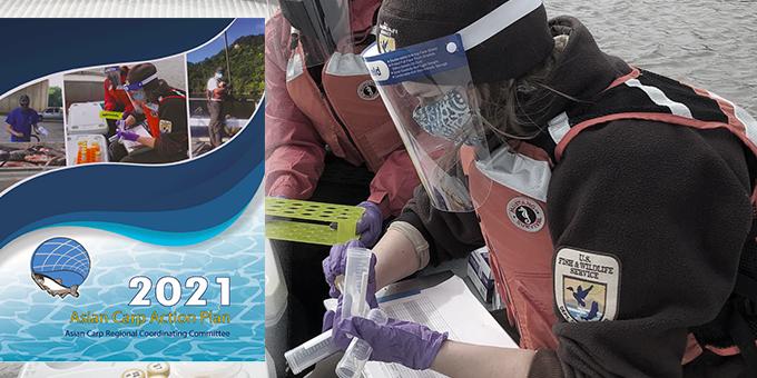Two biologists wearing face masks and shields sort sampling tubes with the cover of the 2021 Action Plan displayed beside them.