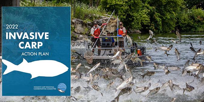 U.S. Fish and Wildlife Service staff electrofishing as silver carp jump around the boat. The cover of the 2022 Action Plan is displayed beside them.
