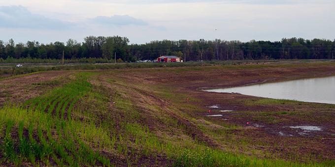 Grass grows on a newly constructed berm near a wetland.