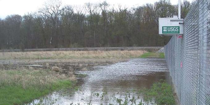 A chain link fence stands in the middle of a wetland area.