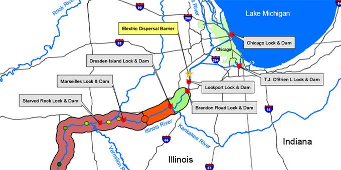 Map depicting the location of carp in the Illinois Waterway.