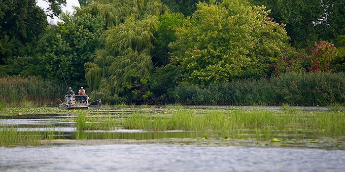 People on an electrofishing boat in water surrounded by reeds.