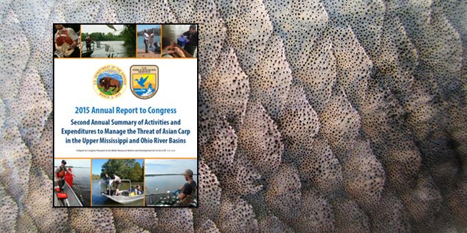 The cover of the Second Annual Water Resources Reform and Development Act Report to Congress in front of fish scales.