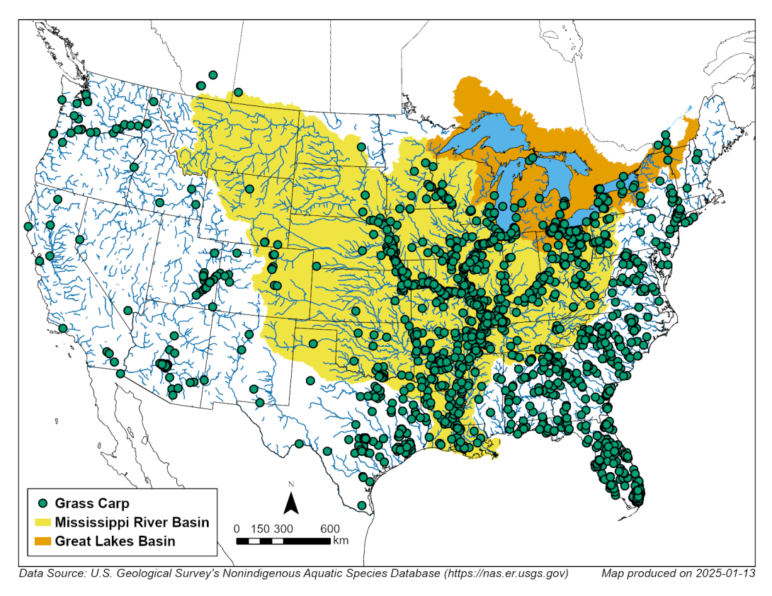 Map identifying grass carp in the Mississippi River and Great Lakes basins.
