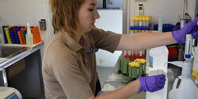 A U.S. Fish and Wildlife Service biologist prepares water samples in a mobile lab for transport to the Whiteny Genetics Laboratory in Onalaska, Wisconsin