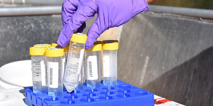 Clear plastic tubes filled with water sit in a holding tray. A hand places a new filled tube in the tray.