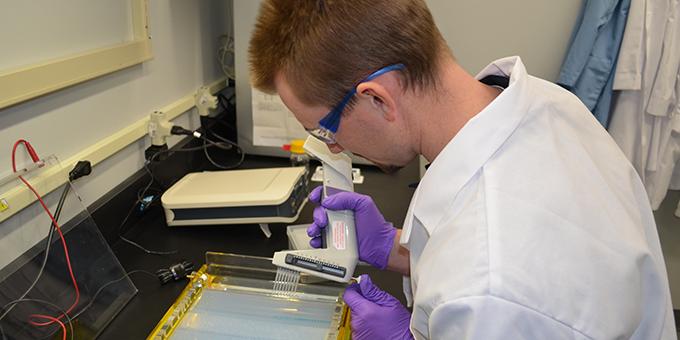 A lab technician processes environmental DNA samples in the lab.