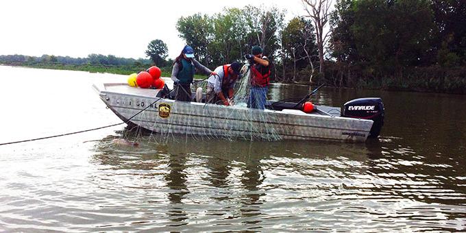 A group of people in a boat holding a large net.