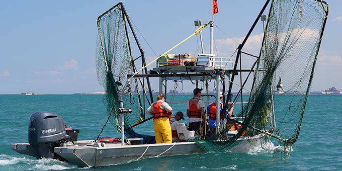 A customized boat with large wing-like nets on the side.