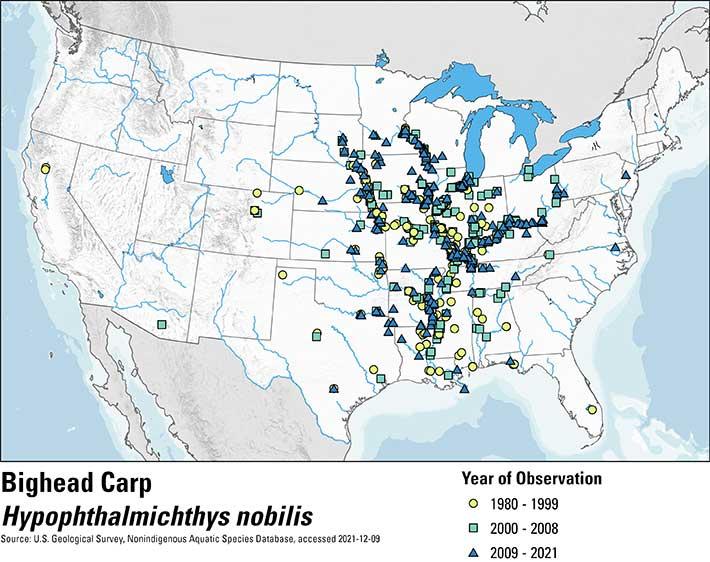 Bighead Carp Historical Occurrence Map