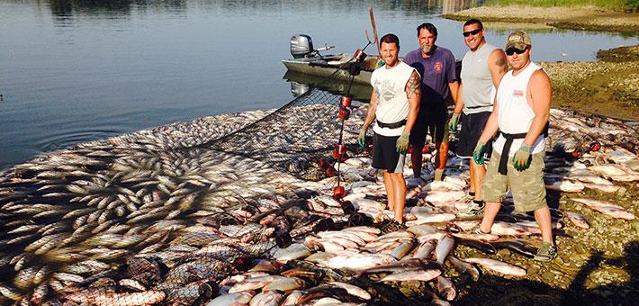 Commercial fishermen stand onshore near netted invasive carp. Photo by Michigan Department of Natural Resources