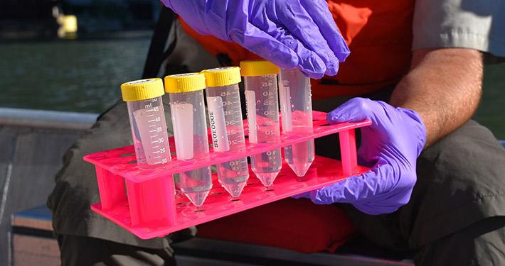 Clear plastic tubes filled with water sit in a holding tray.