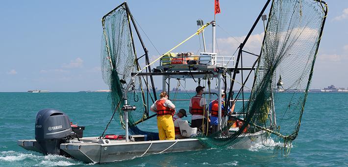 A customized boat with large wing-like nets on the side.