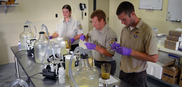 A group of biologists in a laboratory among various equipment.