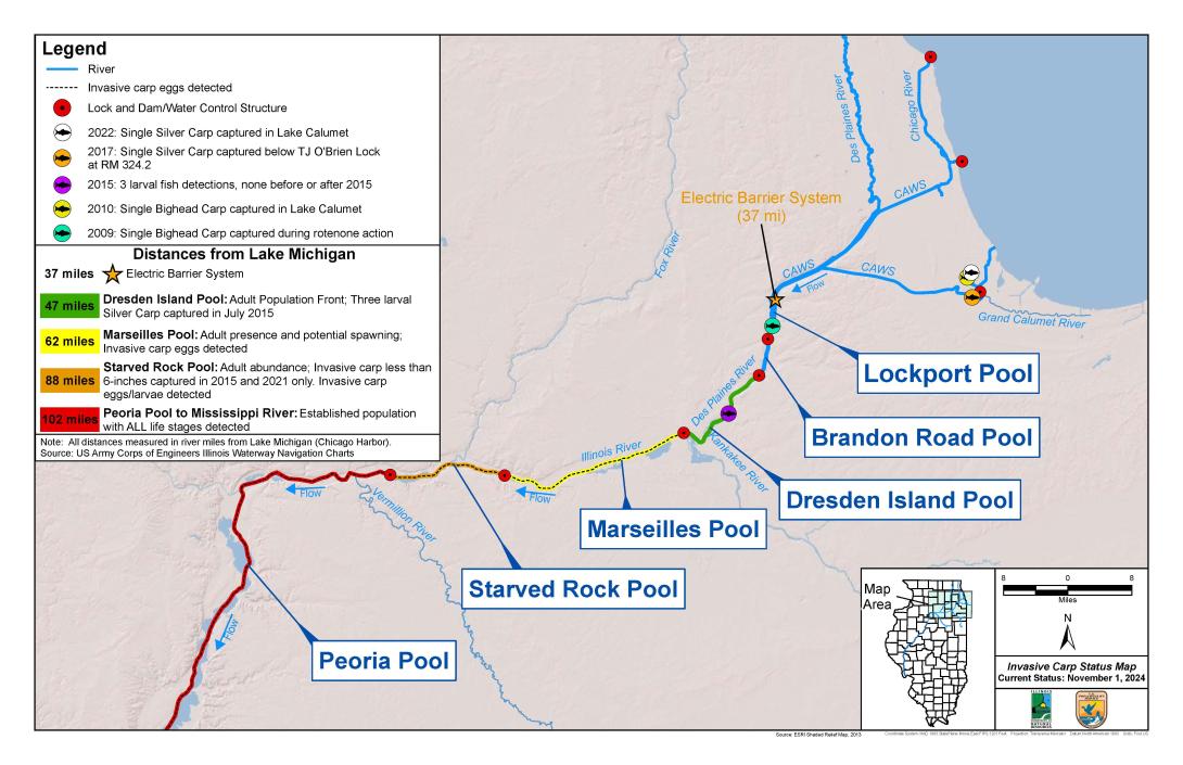 A map displaying the electric barrier system with a star located 37 miles from Lake Michigan in the Chicago Area Waterway in Northeast Illinois. The leading edge of adult bighead and silver carp is 10 miles below the electric barrier system. The leading edge of potential bighead and silver carp reproduction is depicted as 62 miles away from Lake Michigan in the Marseilles Pool. Verified spawning is shown to be in the Starved Rock Pool, 88 miles away from Lake Michigan.