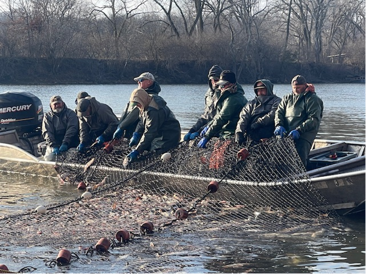 A group of people standing in a boat pulling in a fishing net.